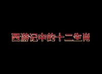 “西天取经”是代表哪个生肖