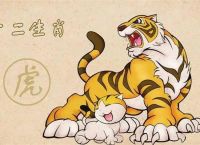 金无足赤打一生肖动物