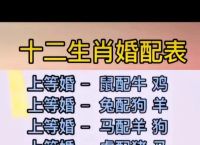 今期生肖各不同