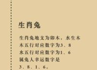 今期生肖带红花打一数字