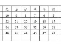 今期生肖排第四