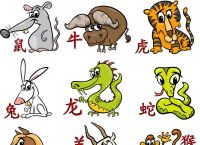 羊丑属相合不合