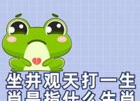 暗无天日的动物打一生肖
