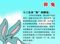 什么生肖冲兔子