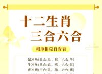 今期生肖三七加解生肖是什么,今期生肖看是羊,三七相逢做大戏