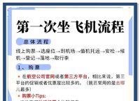 飞机Telegreat中文版安装指南及故障解决方案
