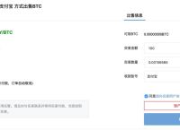 比安币发行价格,比特币赚了几千万怎么提现