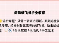 如何轻松掌握纸飞机网站使用技巧和初始设置