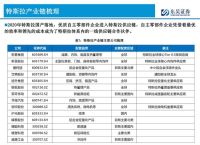 特斯拉股票代码300176分析与未来投资前景展望