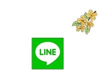 LINE是什么聊天工具？全面解析LINE的功能与优势