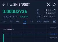 投资SHIB币100元赚1.6亿的策略与未来走势分析