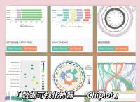 图表的力量：有效视觉化数据的工具与类型