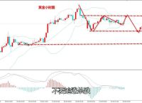 今日黄金价格走势分析及投资策略指导