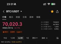 比特币美元价格实时：投资策略与风险管理解析