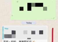 WhatsApp最新版本评测：新功能提升隐私与用户体验