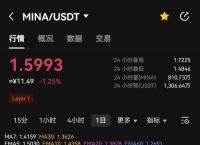 USDT泰达币今日价格分析及投资策略