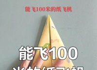 吉尼斯纪录飞得最远的纸飞机教程，轻松折叠飞行远方