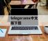 telegeramx中文版下载,telegeramx中文版下载官网