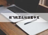 纸飞机怎么玩设置中文的简单介绍