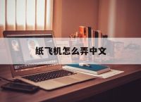 纸飞机怎么弄中文,纸飞机怎么弄中文版本