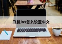 飞机ios怎么设置中文,飞机ios怎么设置中文模式