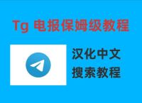 纸飞机设置简体中文怎么设置的啊的简单介绍