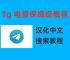 纸飞机设置简体中文怎么设置的啊的简单介绍