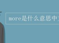 telnet是什么意思中文翻译的简单介绍