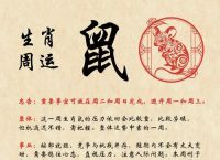 今期生肖出单蓝打一数字,今期生肖定单蓝是什么生肖