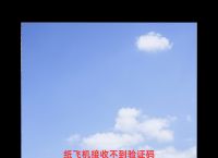 纸飞机86手机号收不到验证码,纸飞机86手机号收不到验证码百度贴吧