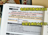 特勒根定理ppt,电路的暂态分析ppt