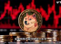 狗狗币会成为下一个比特币吗,狗狗币会成为下一个比特币吗知乎