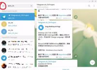 telgerm中文版汉化教程,pottermore官方入口中文版