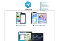 telegreat怎么搜索,telegreat怎么转中文