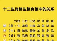 关于一九相冲在今期是什么生肖呢的信息
