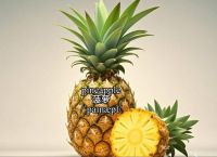 pineapple,pineapple fried rice