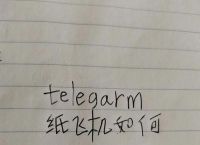 纸飞机电脑端中文,纸飞机怎么在电脑登陆