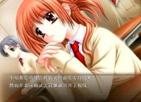 免费galgame游戏下载,galgame游戏大全免安装版