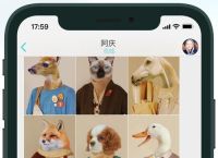 纸飞机app,纸飞机app下载官网链接最新版