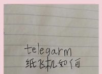 纸飞机中文语言包怎么启用的的简单介绍