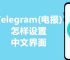ios纸飞机中文版,ios纸飞机中文版怎么设置汉化