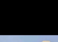 纸飞机频道索引,禁毒纸飞机电影