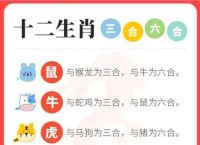 今期生肖对对碰是什么意思,今期生肖对对碰代表什么动物