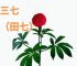 三七今期是什么生肖,今期生肖三七加解生肖