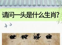 今期生肖七七开,生肖七七是指什么动物