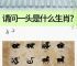今期生肖七七开,生肖七七是指什么动物