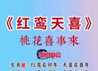 今期双绿波色旺是什么生肖,今期双红波色旺是指什么生肖