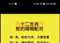 人老珠黄指什么生肖动物,人老珠黄指什么生肖动物和动物
