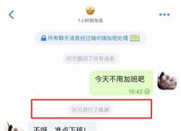 蝙蝠聊天显示系统消息的简单介绍