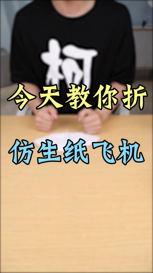 纸飞机限制怎么恢复,纸飞机目前你被限制无法主动发起私聊